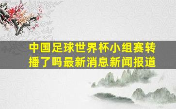 中国足球世界杯小组赛转播了吗最新消息新闻报道