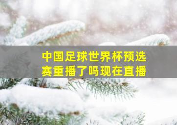 中国足球世界杯预选赛重播了吗现在直播