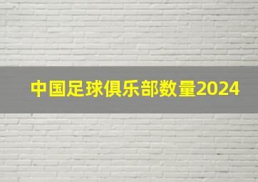 中国足球俱乐部数量2024