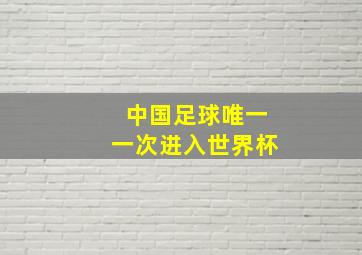 中国足球唯一一次进入世界杯