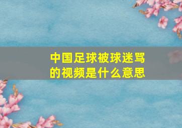 中国足球被球迷骂的视频是什么意思