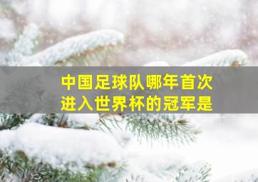 中国足球队哪年首次进入世界杯的冠军是