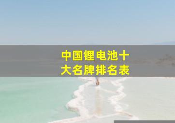 中国锂电池十大名牌排名表