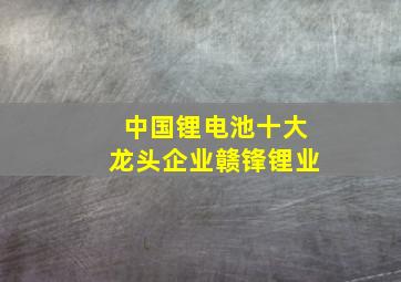 中国锂电池十大龙头企业赣锋锂业