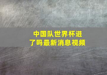 中国队世界杯进了吗最新消息视频