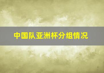 中国队亚洲杯分组情况