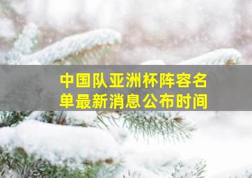 中国队亚洲杯阵容名单最新消息公布时间