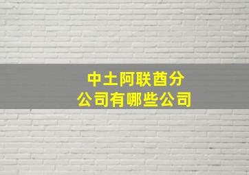 中土阿联酋分公司有哪些公司