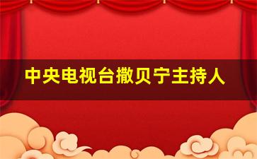 中央电视台撒贝宁主持人