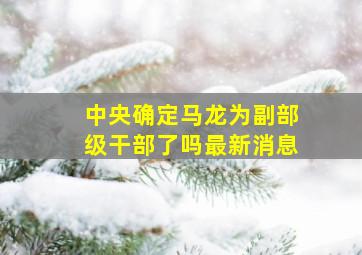 中央确定马龙为副部级干部了吗最新消息