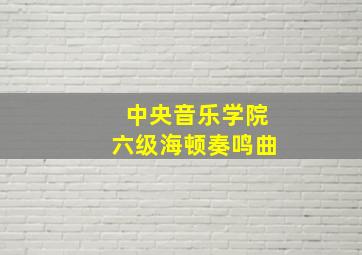 中央音乐学院六级海顿奏鸣曲