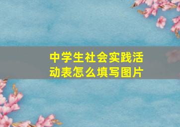 中学生社会实践活动表怎么填写图片