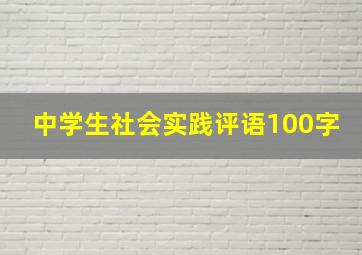 中学生社会实践评语100字