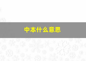 中本什么意思