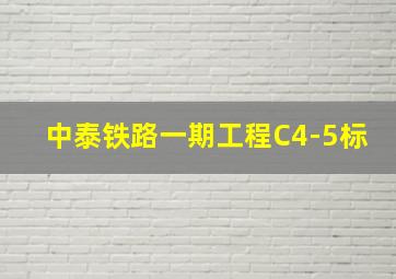 中泰铁路一期工程C4-5标