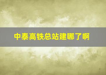 中泰高铁总站建哪了啊