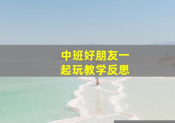 中班好朋友一起玩教学反思