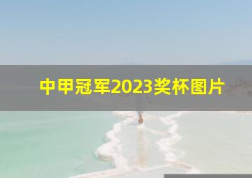 中甲冠军2023奖杯图片