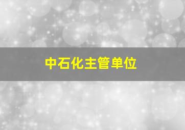 中石化主管单位