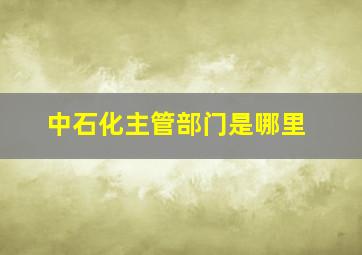 中石化主管部门是哪里