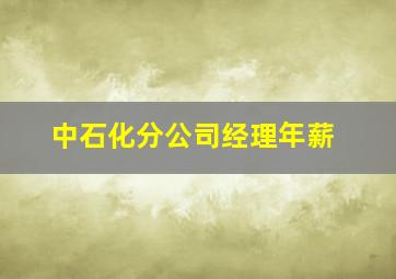 中石化分公司经理年薪