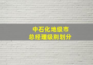 中石化地级市总经理级别划分