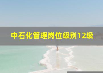 中石化管理岗位级别12级