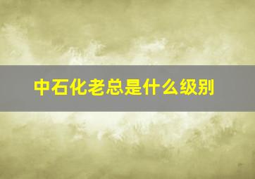 中石化老总是什么级别