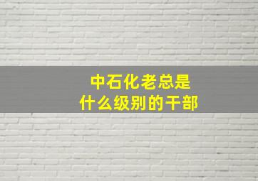 中石化老总是什么级别的干部