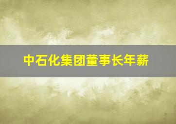 中石化集团董事长年薪