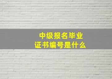 中级报名毕业证书编号是什么