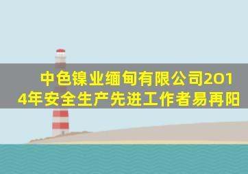 中色镍业缅甸有限公司2O14年安全生产先进工作者易再阳