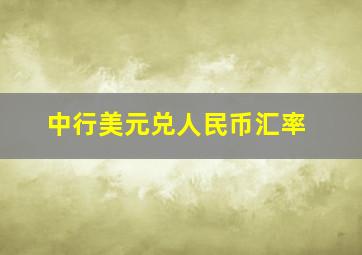 中行美元兑人民币汇率