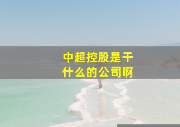 中超控股是干什么的公司啊