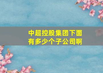 中超控股集团下面有多少个子公司啊