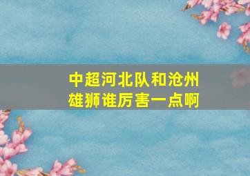 中超河北队和沧州雄狮谁厉害一点啊