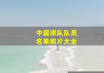 中超球队队员名单照片大全