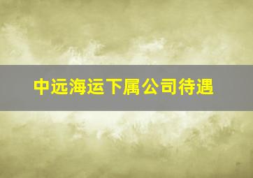 中远海运下属公司待遇