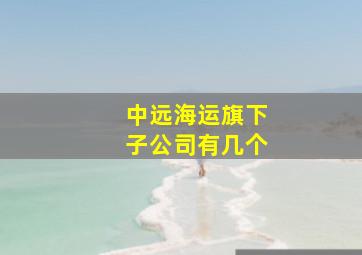 中远海运旗下子公司有几个