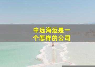 中远海运是一个怎样的公司