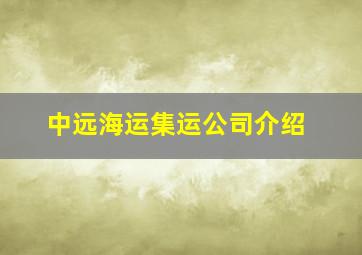 中远海运集运公司介绍