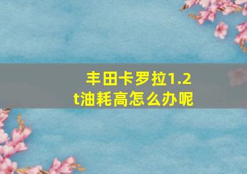 丰田卡罗拉1.2t油耗高怎么办呢