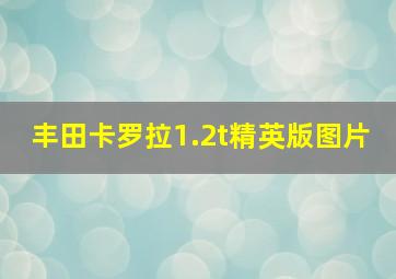 丰田卡罗拉1.2t精英版图片