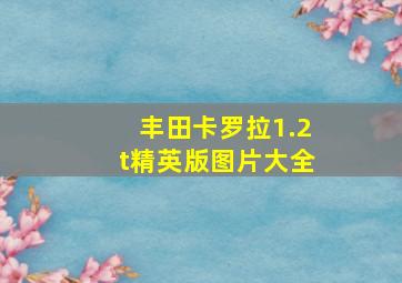 丰田卡罗拉1.2t精英版图片大全