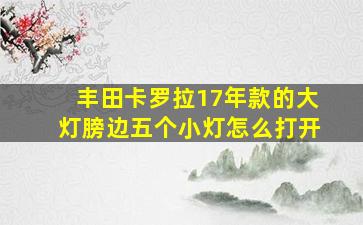 丰田卡罗拉17年款的大灯膀边五个小灯怎么打开