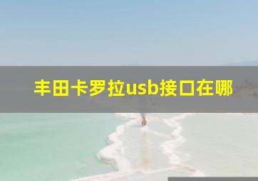 丰田卡罗拉usb接口在哪