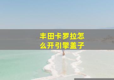 丰田卡罗拉怎么开引擎盖子