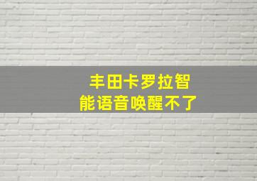 丰田卡罗拉智能语音唤醒不了