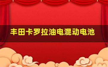 丰田卡罗拉油电混动电池