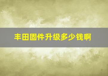 丰田固件升级多少钱啊